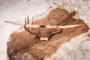 Youth-Bow-Stone-Age-Outdoors-La-Crete-Northern-Alberta-Custom-handmade-primitive-wood-bows-archery
