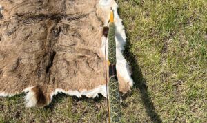 Custom handmade primitive wood bows archery by Stone Age Outdoors in La Crete Northern Alberta